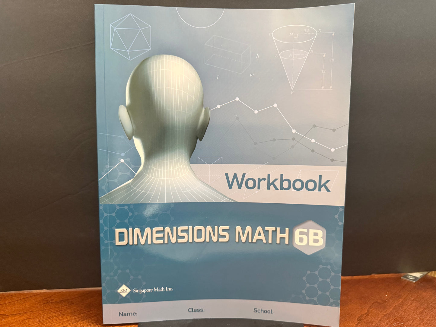 Dimensions Math Workbook 6B