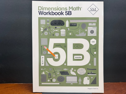 Dimensions Math Workbook 5B