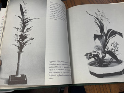 The Art of Flower Arrangement